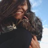 Dog walking,dog sitter, cat sitter.