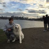 Seattle House and Petsitter Interviewing for Job opportunities in Seattle!