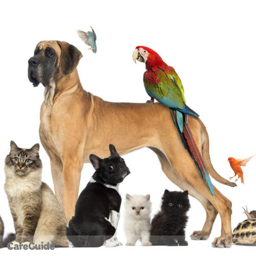 Pet Care Provider Catriona M's Profile Picture