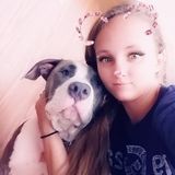 Talented Pet Sitting Available Now!