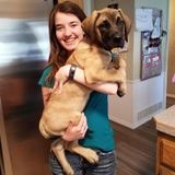 Pet Sitting, and Dog Walking