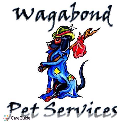 Pet Care Provider Haley T's Profile Picture