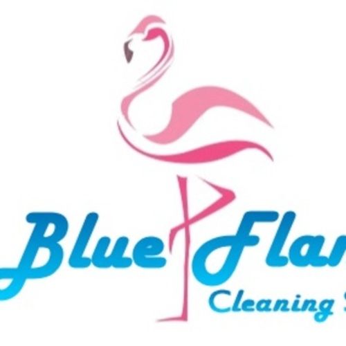 Housekeeper Provider Blue Flamingo Cleaning Service LLC's Profile Picture