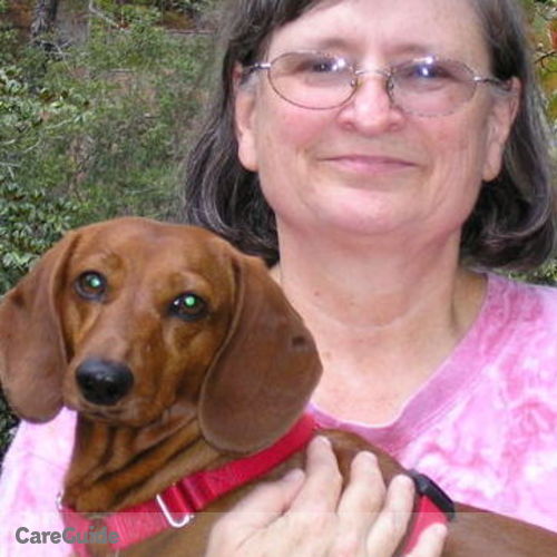 Housekeeper Provider Jeanne P's Profile Picture