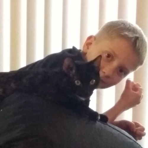 Pet Care Provider Darlene P's Profile Picture