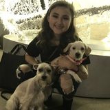 Looking For a Cat Sitter Job in Kingsville