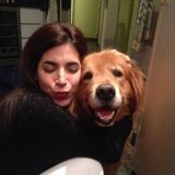 Miami / Fort Lauderdale / Hollywood, Florida Petsitter
