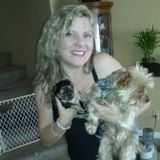 I will treat your pets as if they were my own