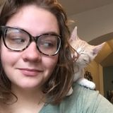 Interested In a Pet Sitting Job in Reno, NV