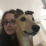 Interested in an Pet Care Job