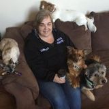 Halifax Pet Carer Available For Work in Nova Scotia