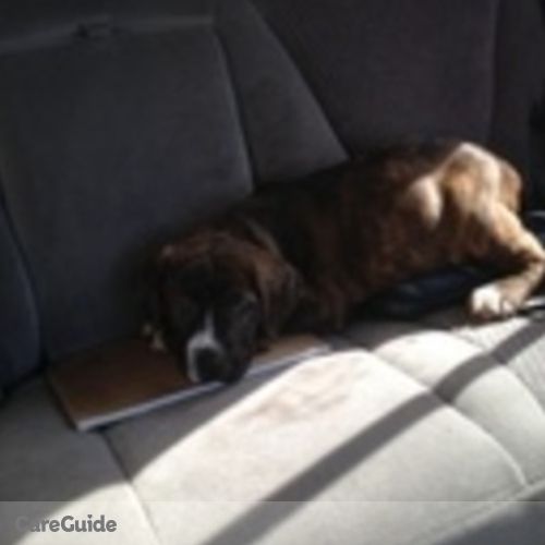 Pet Care Provider Theresa B's Profile Picture