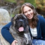 Pet owner and previous vet tech available for pet sitting