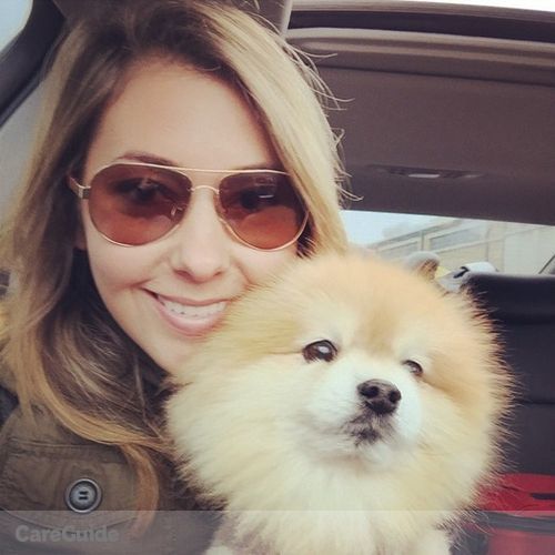 Pet Care Provider Amy K's Profile Picture