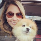 Dog Walker/Pet Sitter in Liberty Village!