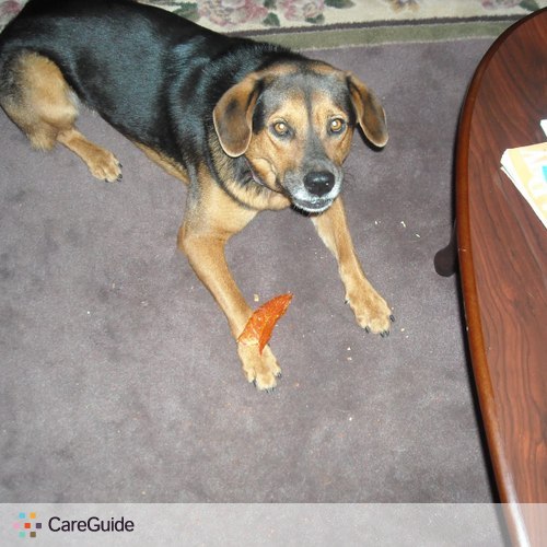 Pet Care Provider Betty Briones's Profile Picture