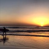 Santee House Sitter Looking For Work in California