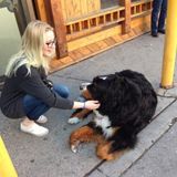 Calgary Nanny Seeking Job Opportunities