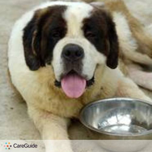 Pet Care Provider Joline P's Profile Picture