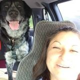 I hope you are having a good day. I'm seeking a Pet Sitter opportunity in Westminister, Colorado. I am FLEXIBLE w/ Open time