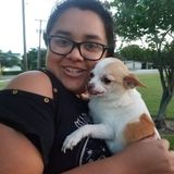 Lookin for a Child sitter, pet sitter? Contact me!