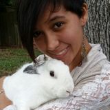 Flexible pet lover looking to pamper your fur & feathered babies!