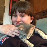 Cat Sitter