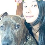 Excellent Pet care Sitter