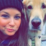 Insured and dog approved !
