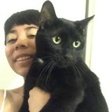 Loving care for your pets available :)