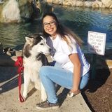 Good role model and trusting babysitter in San Diego area!