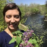 Well Trained House Sitting Service Provider in Hartford County