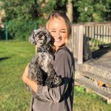 Responsible, active and loving dog walker