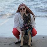 Caring Dog Sitter in Grottoes, Virginia