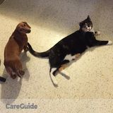 Pet Care Provider in Kitchener, Ontario