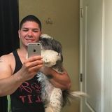 Professional Pet Trainer Available Immediately