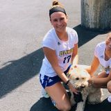 Interested In a Dog Walker Job in Yorktown Heights