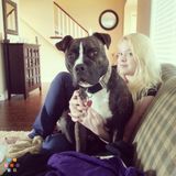 Dog Walking and Private Pet Care For Any Animal in Mission!