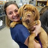 Hello! My name is Samantha. I am a 24 yr old college student. I work as a veterinarian technician and as a wildlife tech!