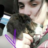Searching for a Pet Care Provider Job in Turley, Oklahoma