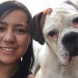 Overnight Care Offered, dog walk or feeding, pet lover in south surrey