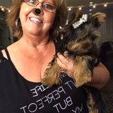 Interviewing For Sun City Pet Sitter, Arizona Jobs