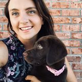 For Hire: Dedicated and Knowledgeable Dogsitter in Sarasota, Florida