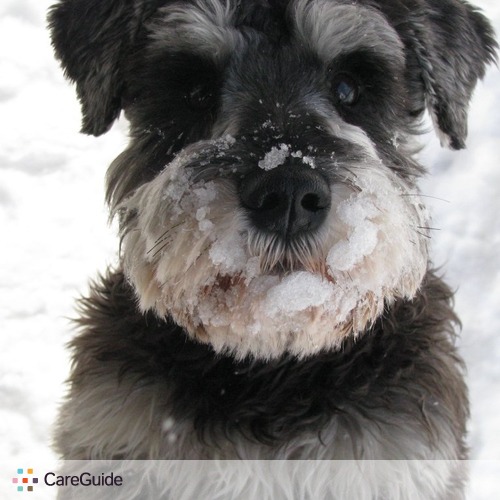 Pet Care Job Virginia T's Profile Picture