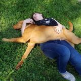 To be cliche and completely transparent at the same time: I love working with animals!