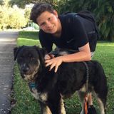 Parkland Petsitter Interviewing For Work in Florida