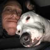 Polite Pet Service Provider in Spring Hill