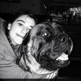 I am 18 years old, and I have been in love with animals since day one. I am available to pet sit, walk, etc with most animals