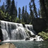 Mill Valley House Sitting Provider Searching for Job Opportunities