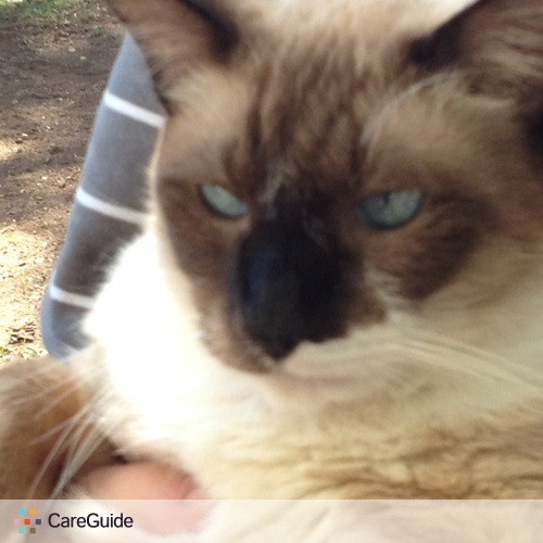 Pet Care Provider Kristen Kiehm's Profile Picture